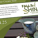 Self-Print poster for Falls of Shin